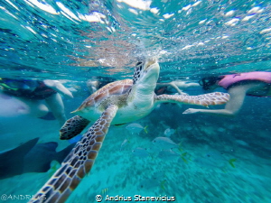 captured with gopro 3+ while snorkeling by Andrius Stanevicius 